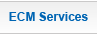 ECM Services
