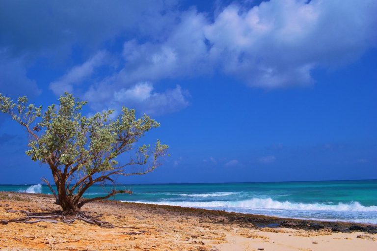 kota-marsh-harbour-destinasi-menarik-di-pulau-marsh